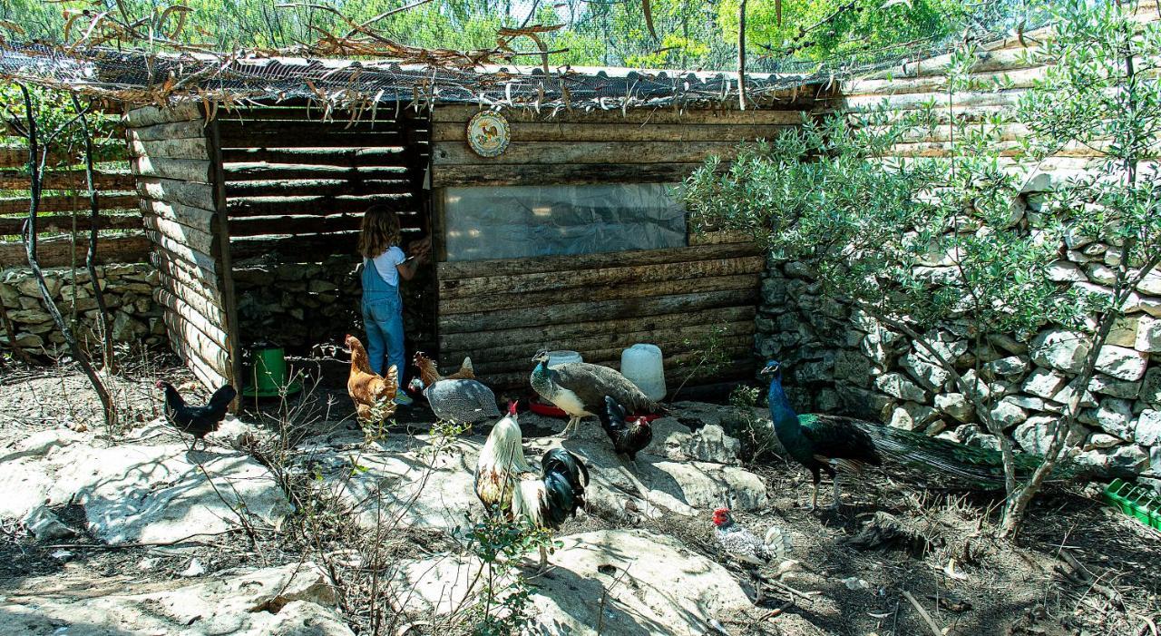 Casal Das Fontainhas Alcobaca Luaran gambar