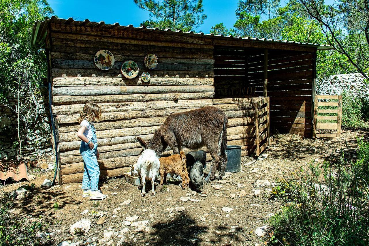 Casal Das Fontainhas Alcobaca Luaran gambar